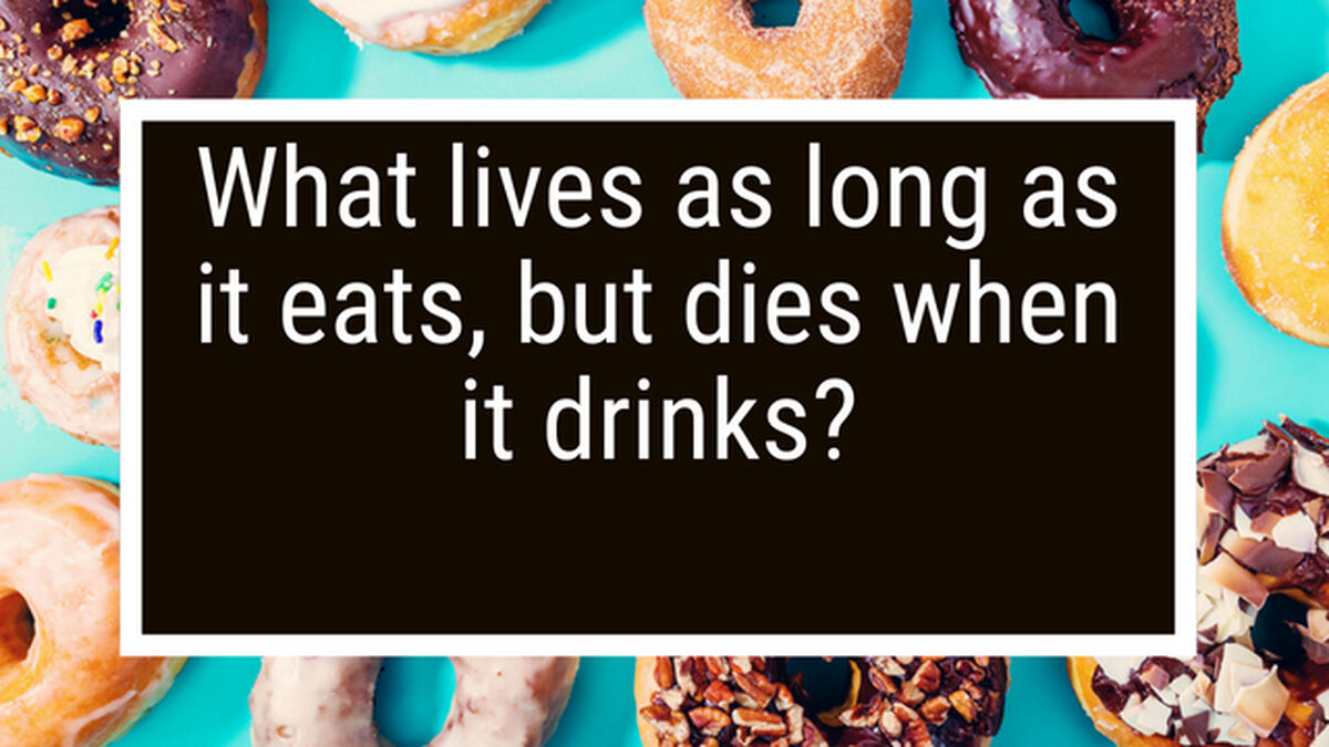 Donut Or Donot 4 image number null